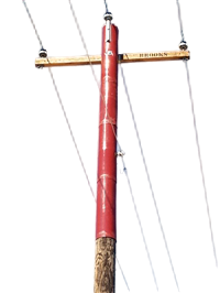 Squirrel & Woodpecker Deterring Pole Wrap Roll PW-040-1-G - Power